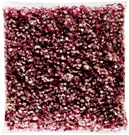 cebula kostka czerwona